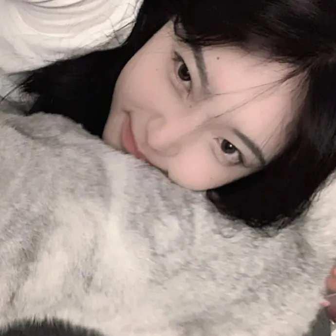 宛若淑女海报